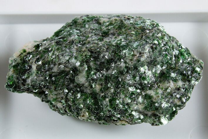 Sparkling Green Fuchsite In Quartz - Norway #345831